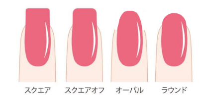 爪の形の種類